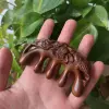 Golden silk green sandalwood lotus fish massage comb