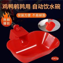 大号新款鸡鸭鹅加大自动鹅用水器饮水饮水器鸽子宠物喝水加厚家禽