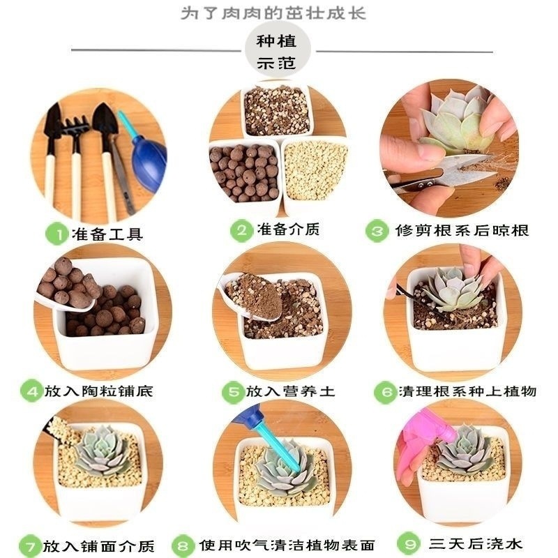 aafaf7bd-2529-42fa-9d26-54c4d11a5a50.jpe