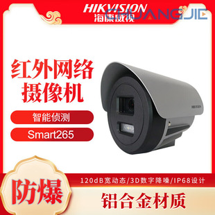 Hikvision Hikvision Explosion-Proof Network Camera Ds-2Xe3025Fwd-Cx 2 Million