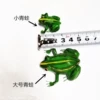 1 large frog