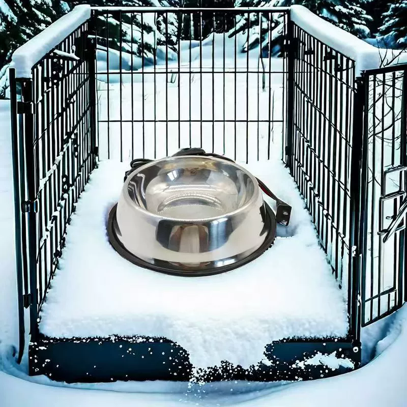 Трансграничные подогреваемые миски для собак могут быть напечатаны цветной печатью