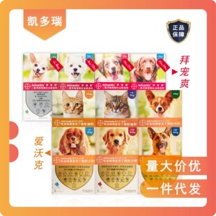 �ݶ����ֿ˰݌�ˬ�݌��幷��؈����\���\�����w������x�΄����\