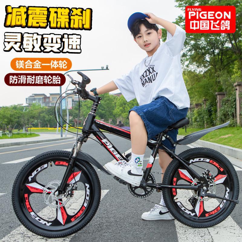 Feige Children's Bicycle Mountain Bike for Primary School Students Aged 7-8-9-12-15 Years Old, Variable Speed Bike with Disc Brakes and Shock Absorbers Feige Children's Bicycle Mountain Bike for Primary School Students Aged 7-8-9-12-15 Years Old, Variable Speed Bike with Disc Brakes and Shock Absorbers