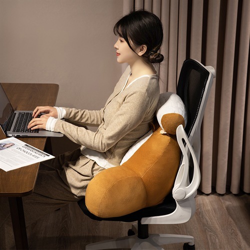 Ice Doudou Office Seat Waist Pillow Bedroom Bedside Pillow Sofa Pillow Pregnant Women Work Customization