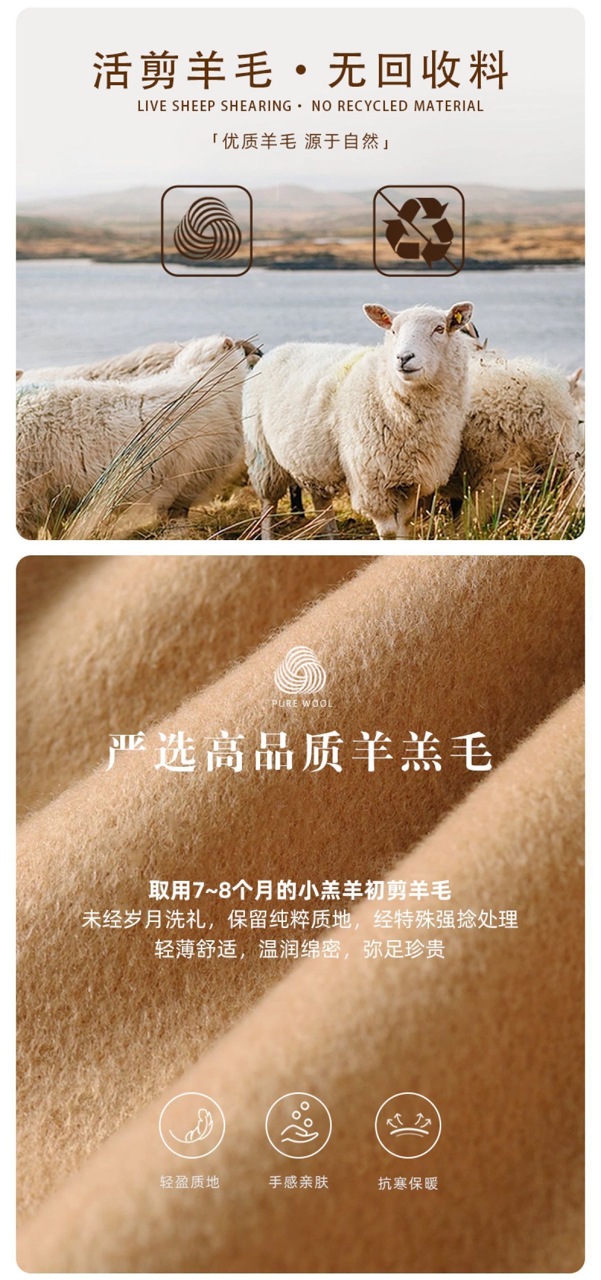 1733792855207 拷贝