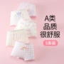 学生儿童宝宝平角底裤