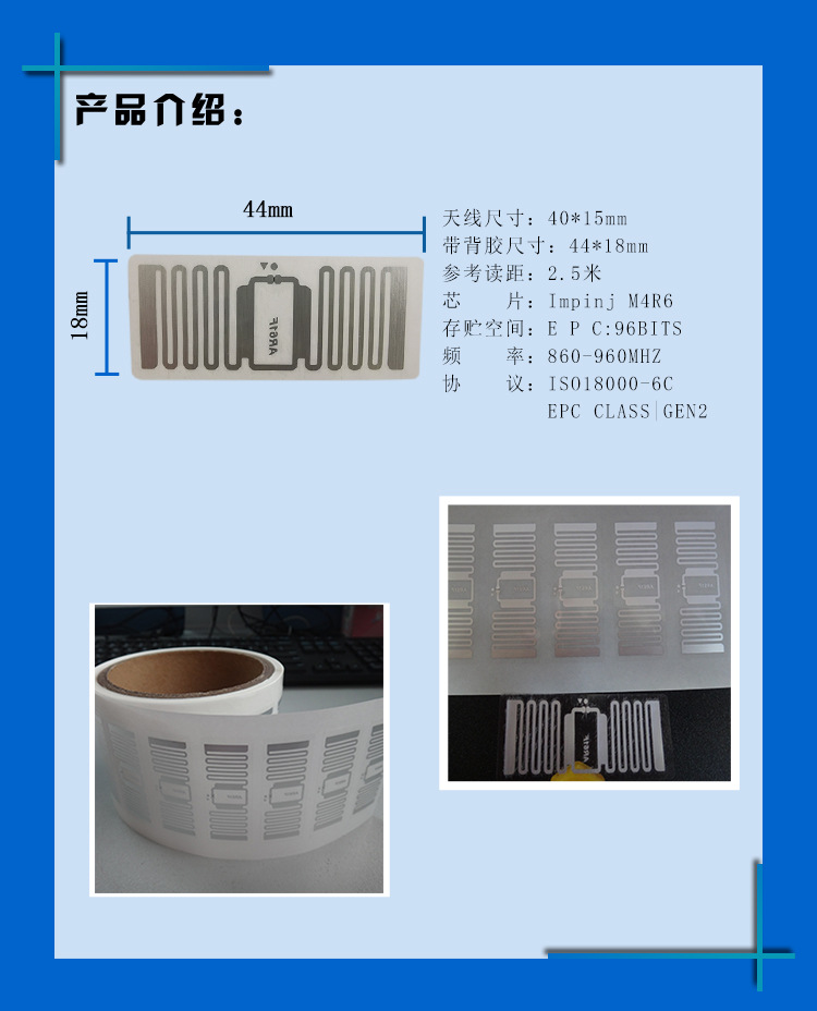 AR61F_01.jpg