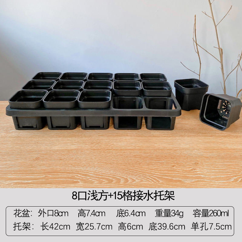 極厚多肉植物低浅角盆、生石花肉コーン播種プラスチック、シンプル挿し木、小さな白い角盆|undefined