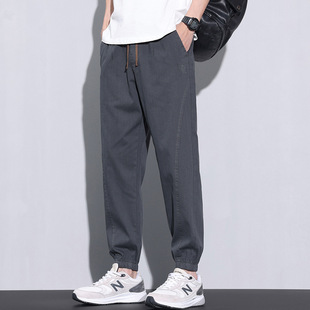 �����¿�2025��ţ���_�����e��ѝ������ٴ�ϵ�K��ʿ���eѝ������