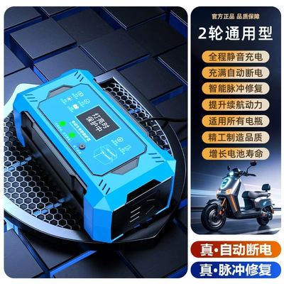 2025 New Electric Vehicle Pulse Repairer Charger Intelligent Repair Activation Power Loss Automatic Power-Off Voltage Stabilizer (Other Electric Vehicle Accessories) - restorer