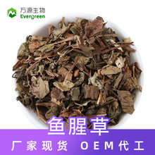 鱼腥草折耳根狗心草狗点耳代用茶可磨粉农产品袋泡茶贴牌代加工