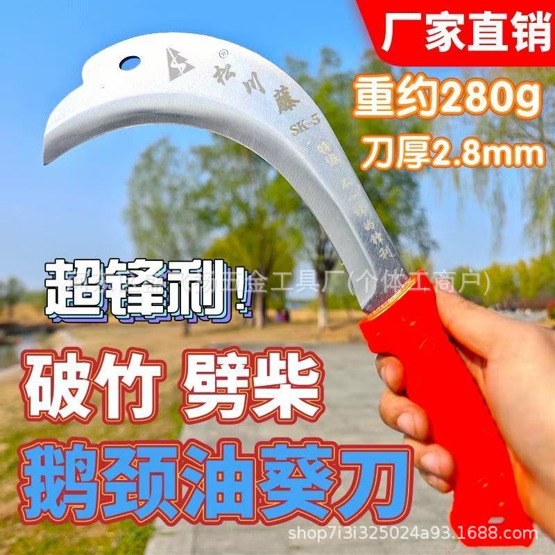 微信图片_20250521152033.jpg