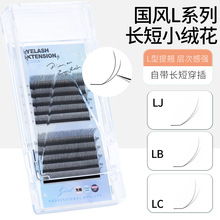 ����L�ͳ���С�޻��ٽ�ëLJ LB LC��ϵб����ʽ���������޽ӽ�ë