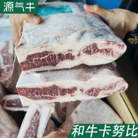 澳洲M4-5卡努比后胸和牛韩式胸腹肉原切肥牛卷火锅烤肉精修牛后胸