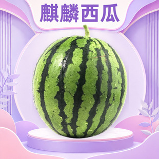 ����������� ���l3-4/4-5/5-6/6-7/8-9�ﱡƤɳȿ�������rˮ��