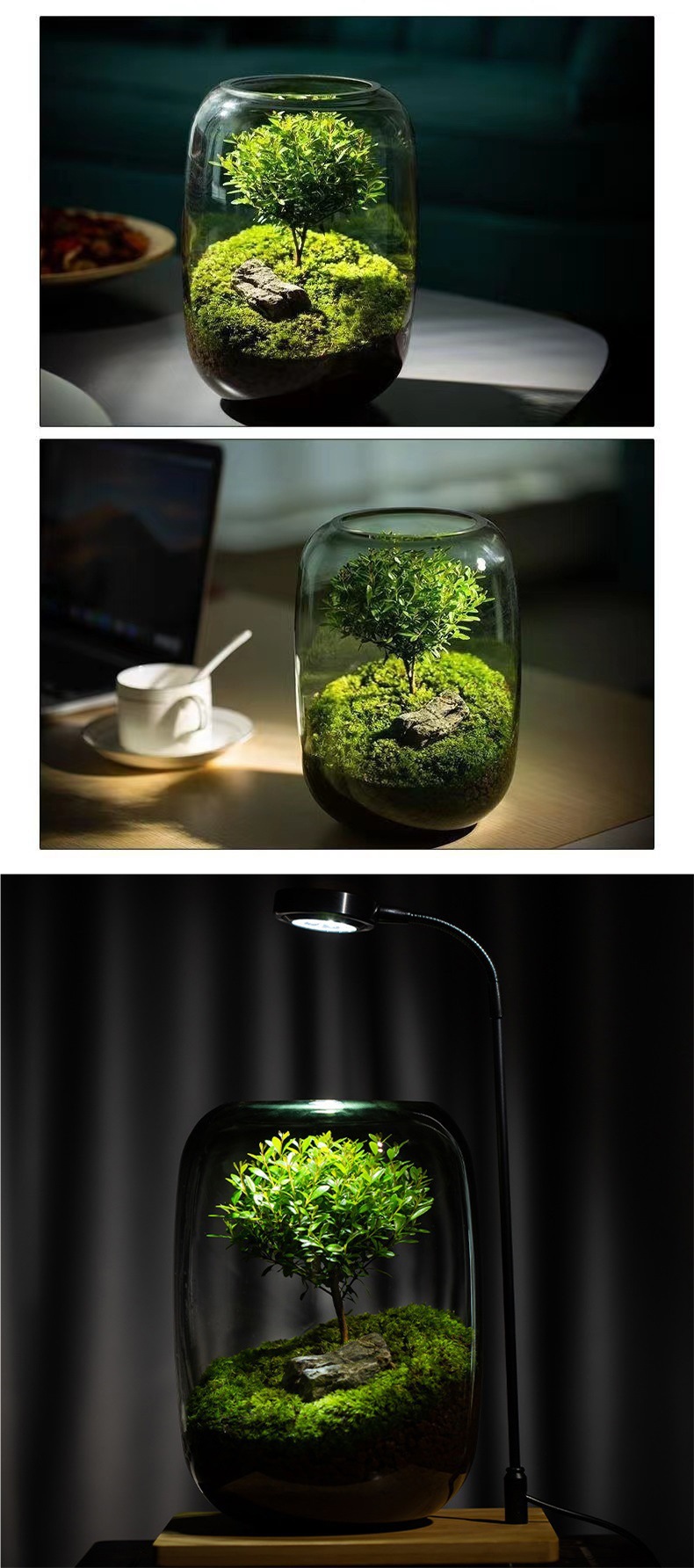 Eco bottle potted flowers