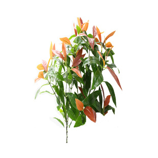 GֲG~¹~15֦𻨔zӰ~ӹbSl