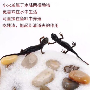 ������坍�~С���坍�^�p�~�~��С������������ˮ���~���w���~