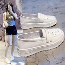 �oʿЬŮܛ���ļ�͸��2024�¿��׷��������_�t�o�ˆT���ù���Ь