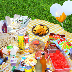 Factory Direct outdoor camping mat waterproof leisure non-woven park picnic mat Internet Celebrity recommend