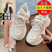 ����ξW�¿��ϵ�ЬŮ2025�ļ�����p���U�վW�������\�����e�WЬ