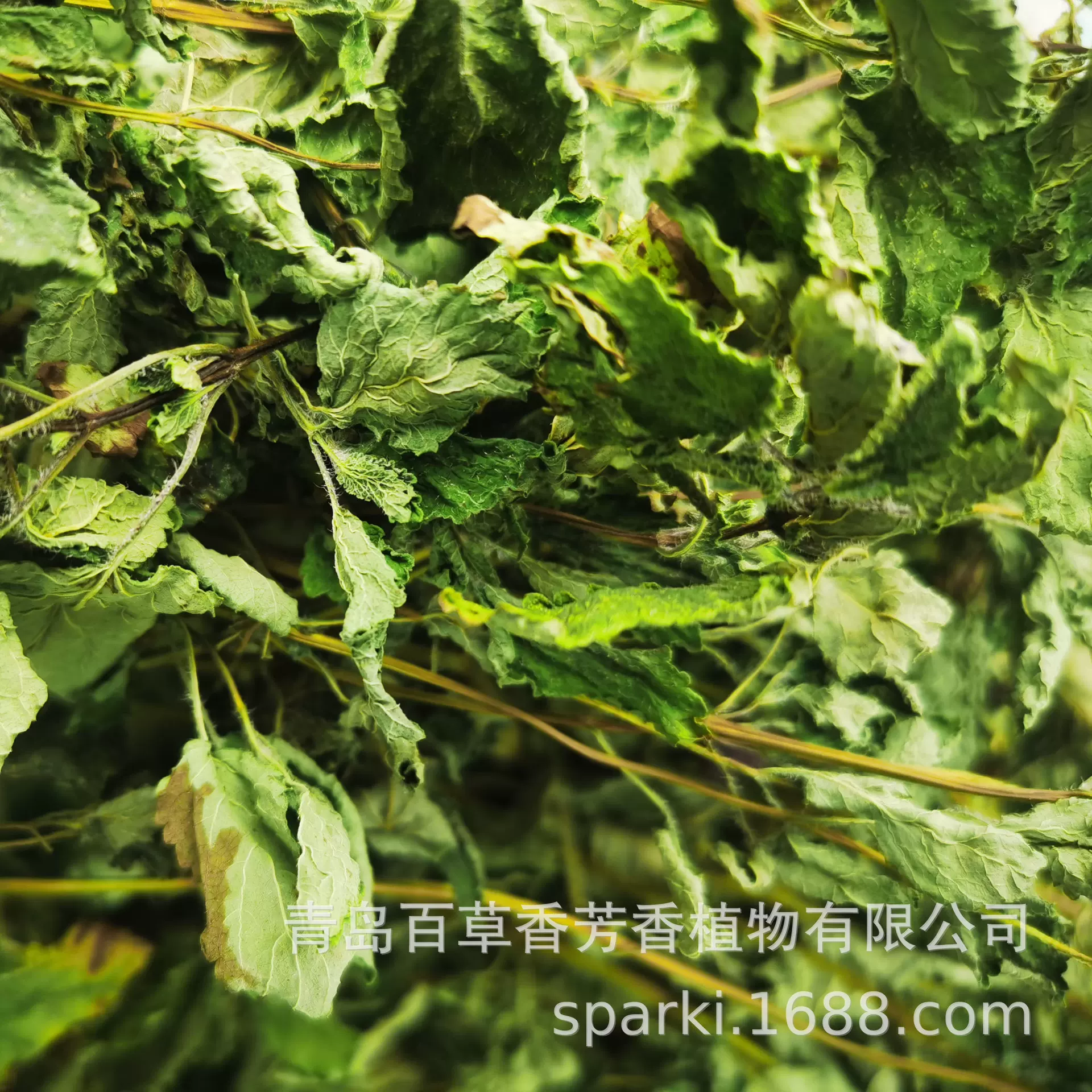 特级烘干柠檬香蜂草香脂蜜蜂花做香/酒/tea原料安疗源头基地直销