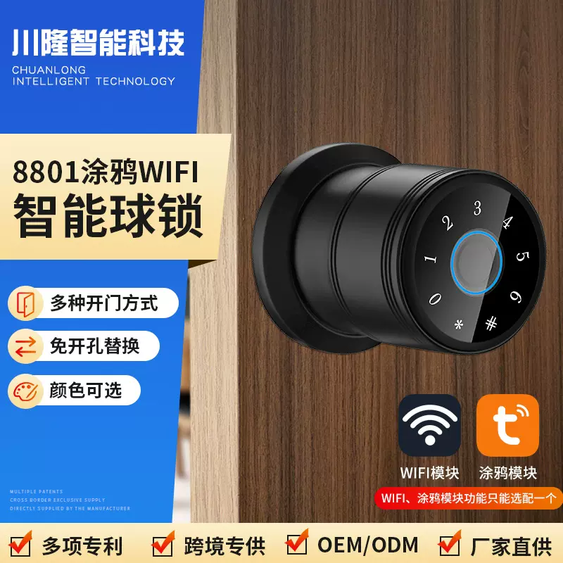 跨境涂鸦WiFi智能指纹锁 简易安装耐用免开孔公寓房间木门球锁