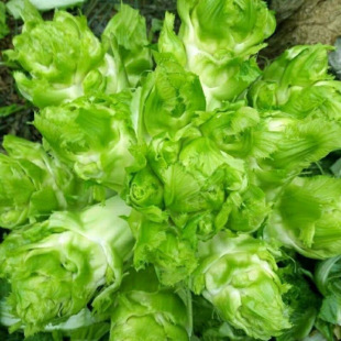 ��ԭ�b��؛�����������Ĵ��خa�ļ������޲��߲����샺�˰��]