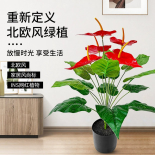 �羳�S�����l����Gֲ18�^�t�ƻ�5���@���쾰ֲ�����Ĕz����