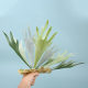 Antler leaf simulation green plant flocking grass antler fern leaf decoration artificial grass potted plant wall matching artificial flower air grass