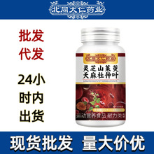 北同灵芝山茱萸天麻杜仲叶片平台爆款大量现货价格优惠批发代发