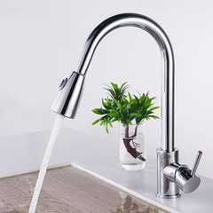 304 stainless steel kitchen faucet dual hot and cold water retractable washbasin sink pull-out faucet wholesale