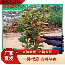 1-3���ְ������p8��������Ʒ�N�������w�����������l�r�������