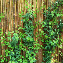 藤条空调管装饰遮挡花藤塑料藤蔓绿叶吊顶绿植植物假树叶