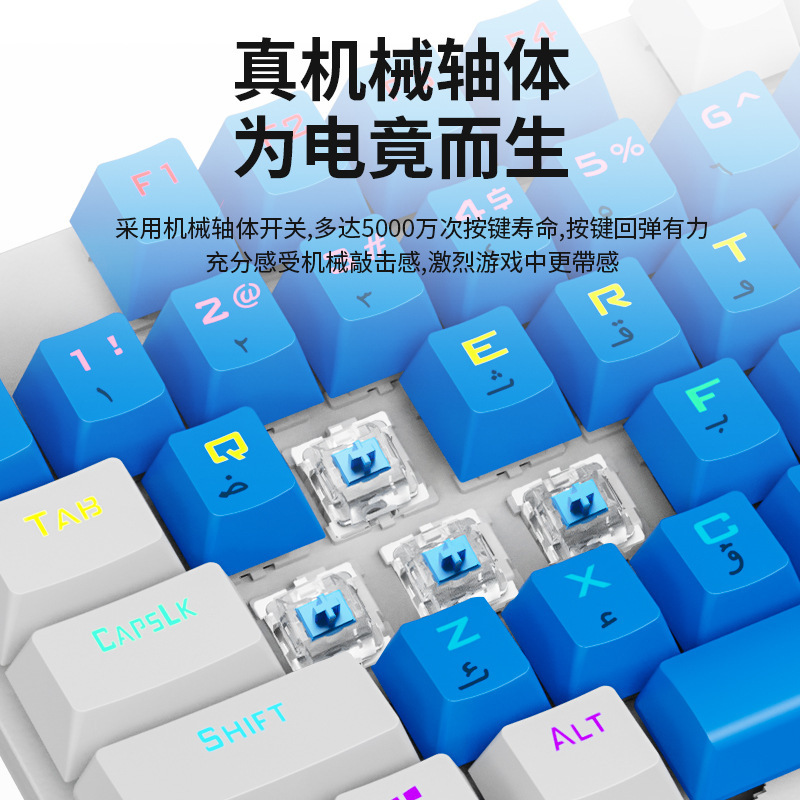 アラビア語 + 英語穹ライオンk87キー機械青軸赤軸有線キーボードキー線分離コンピュータノート|undefined