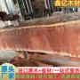 南美墨西哥扁豆原木
