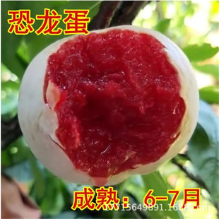 �N�ۺڰ����� �ڲ��ִ������ �޽������ڌ�ʯ�ڲ������ӹ�����