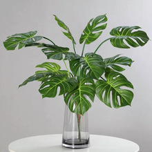 7�^�ָа��������~���������~�����ϲݿ羳�b[�żٻ��Gֲ�