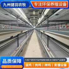 肉鸡笼 室内大号养鸡笼 鸡舍鸡棚铁丝网鸡笼子 H型框架肉鸡笼子