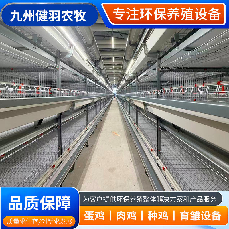 肉鸡笼 室内大号养鸡笼 鸡舍鸡棚铁丝网鸡笼子 H型框架肉鸡笼子
