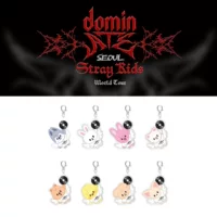 Акриловый брелок Stray Kids SKZOO, 10×6×1,5 см, мультяшный, 8 цветов
