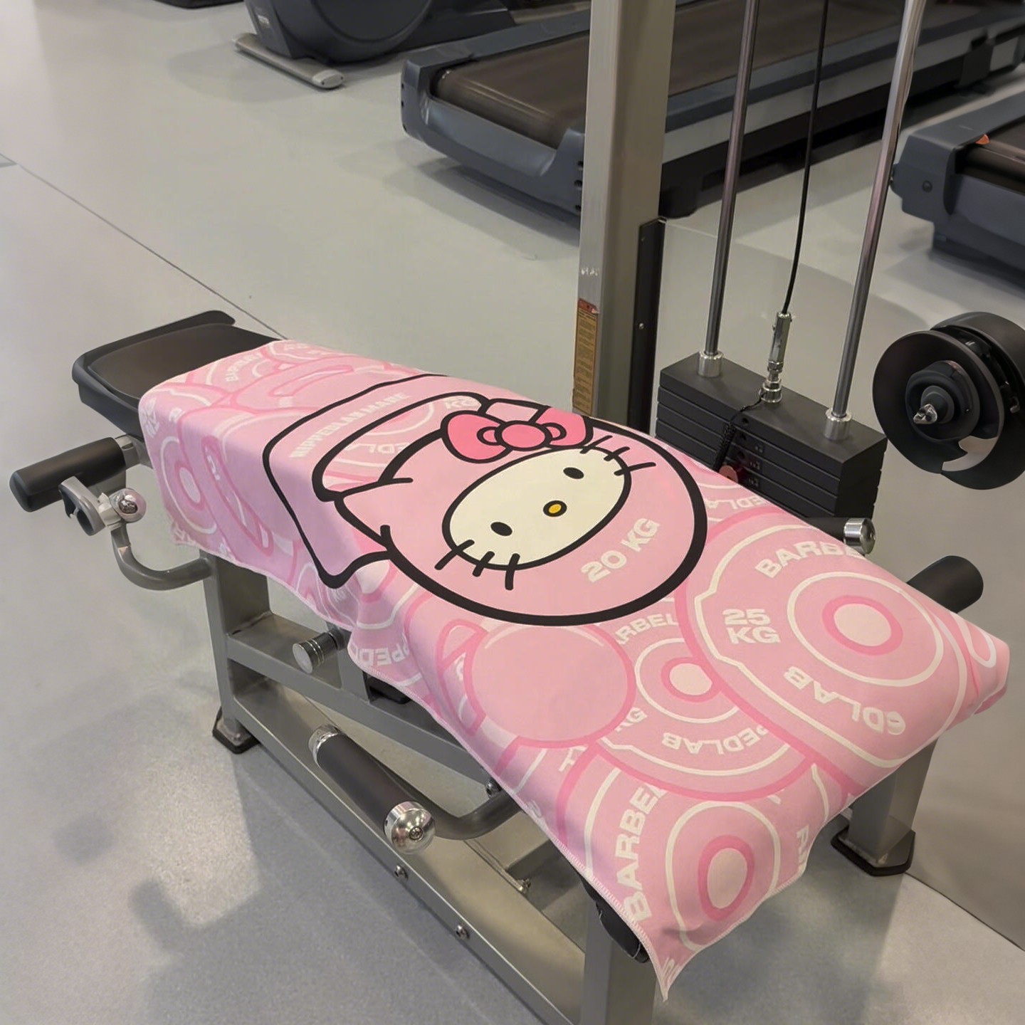 Temu Shein Kitty Cat Fitness Sweat Absorbing Quick-Dry Beach Towel Portable Sweat Pad Towel