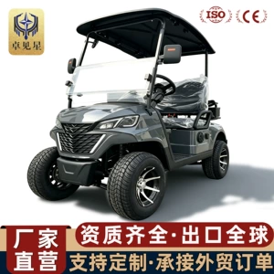 2 və 4 Yerlik Elektrikli Golf Karqo, Otel, Zavod Qəbulu, Elektrikli Ekskursiya