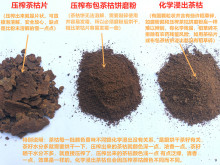 5斤茶籽粉茶麸茶枯片块饼渣泡沫洗头清洁护发养发洗碗茶枯粉李