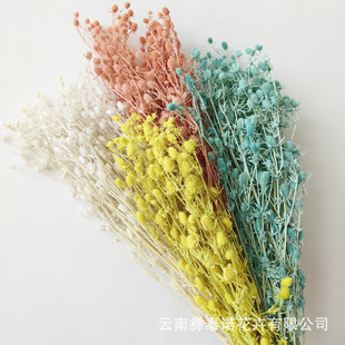 ���������˹����۹��ɻ����l�ֹ�diy�����Ĕz����Դ�^�S�һ���