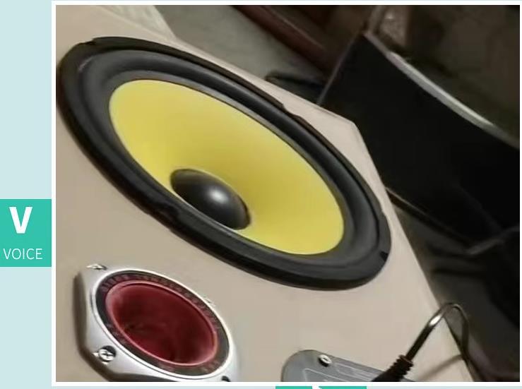 Factory Cross-Border 6.5/8/10/ 12inch Car Subwoofer Ktv Bucket Speaker DIY Speaker Heavy Bass Subwoofer