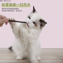 猫咪磨牙棒木天蓼成幼猫洁齿自嗨解闷猫草薄荷逗猫棒玩具猫咪零食