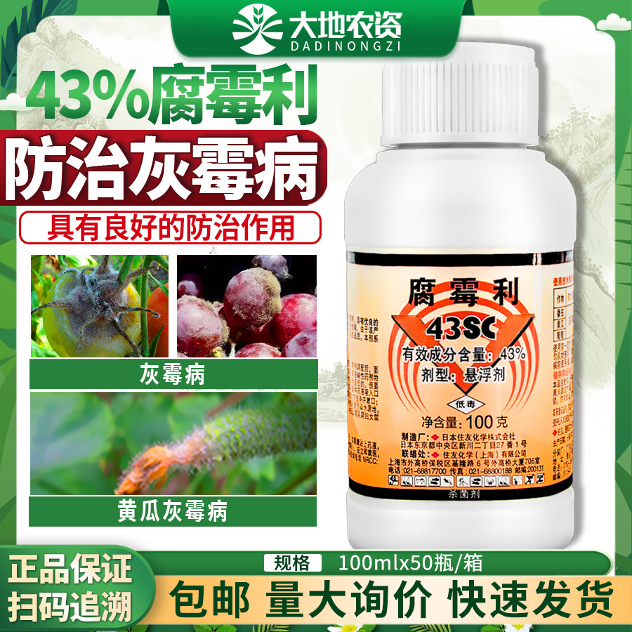 日本住友速美克腐霉利悬浮剂茄果蔬葡萄黄瓜灰霉病专用农药杀菌剂