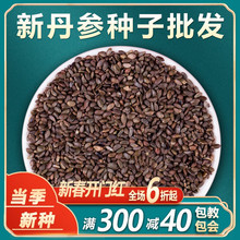 șĵNҰؼNrt紺ļNֲ